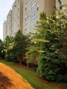 commercial property landscaping experts in Atlanta