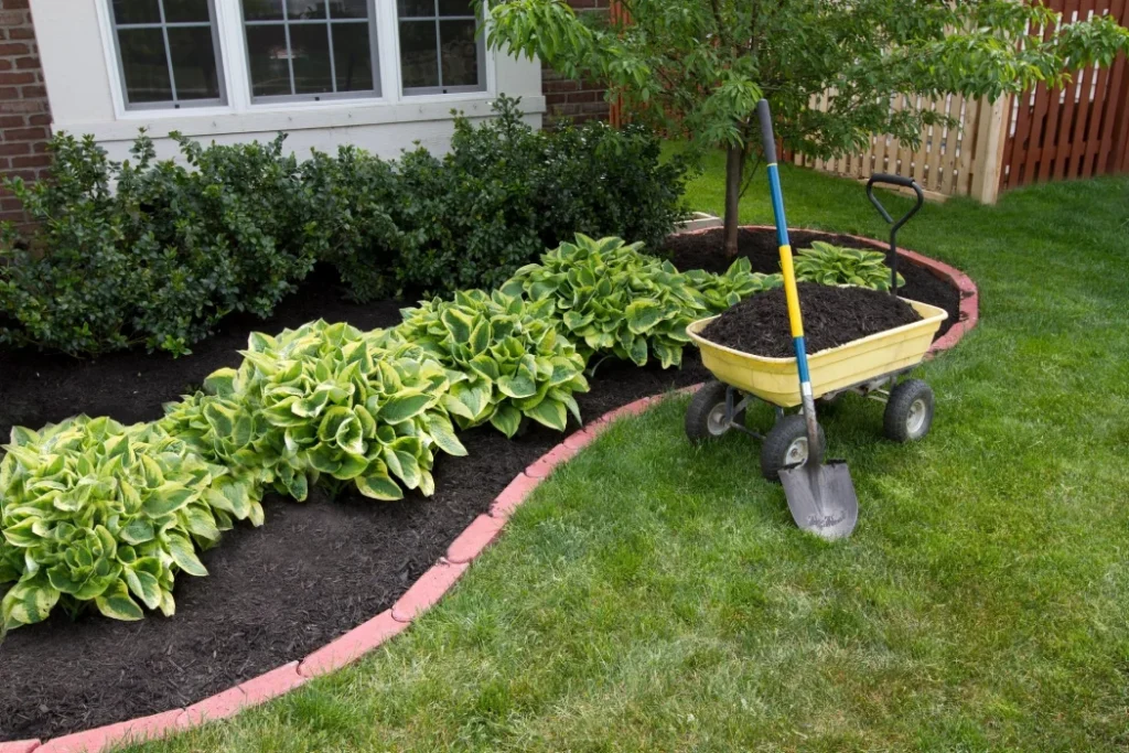 Beautiful lawn and garden - fall lawn care tips from The Ricks Group, Buford, GA