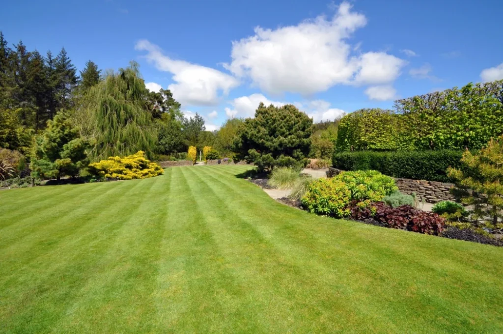 Year round lawn maintenance services | Efficient Water Drainage Solutions for Landscaping in North Georgia