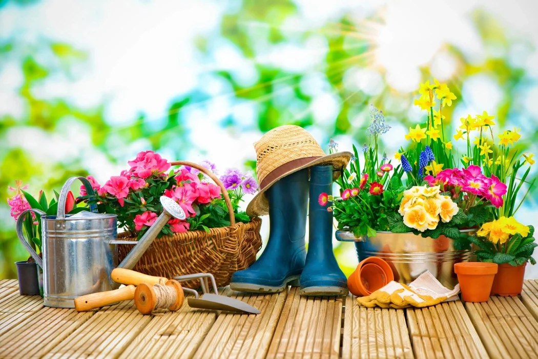 DIY lawn care tips for a beautiful fall garden and lawn by the ricks group landscape management 