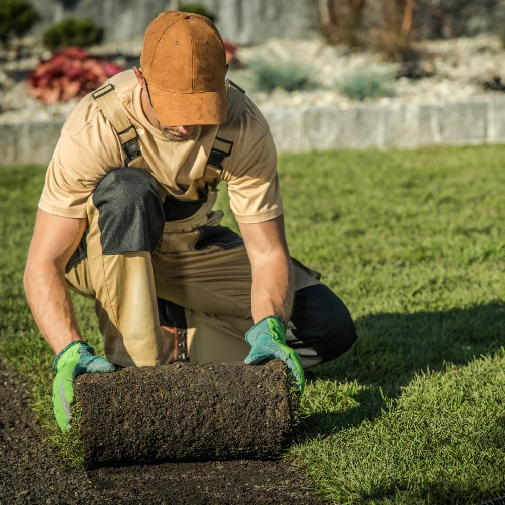 Atlanta Sod Installation: Best Sod Varieties for Georgia Properties