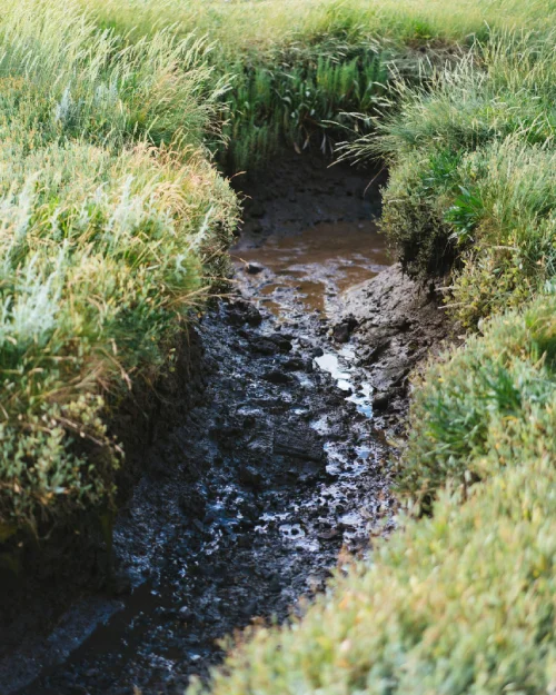 Severe drainage and erosion problem on commercial property north Georgia
