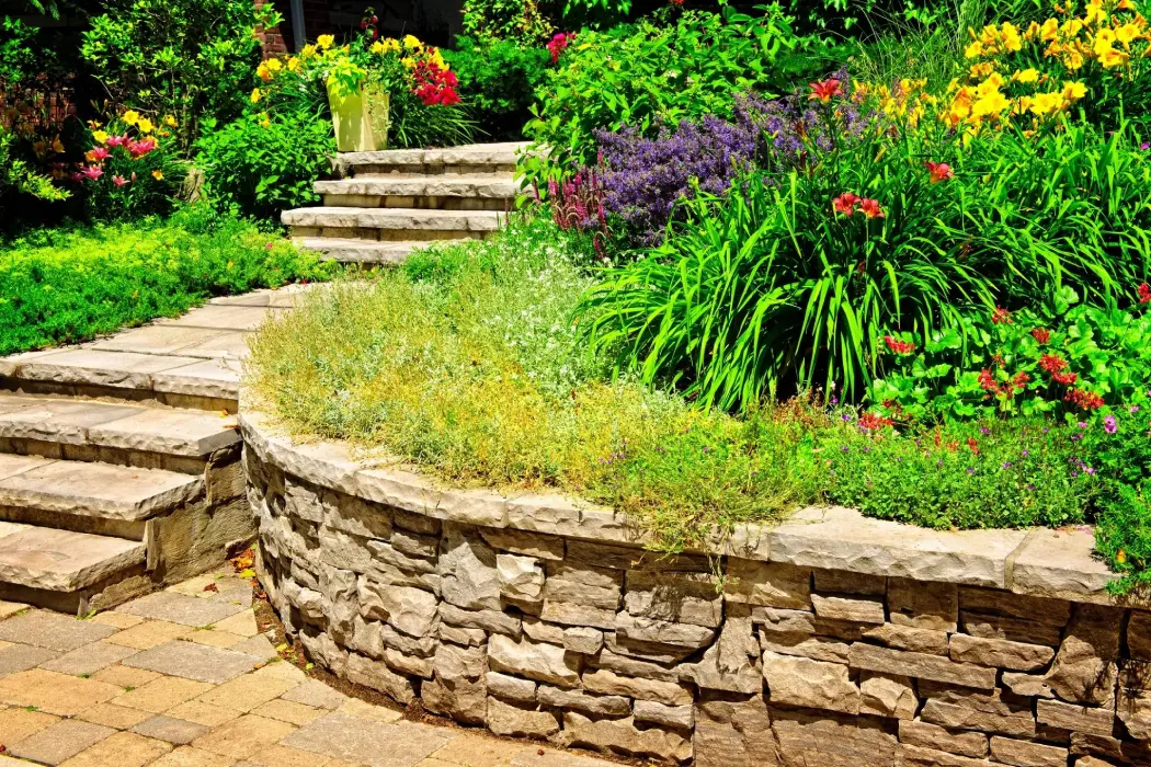 overgrown landscaped residential garden in north metro atlanta