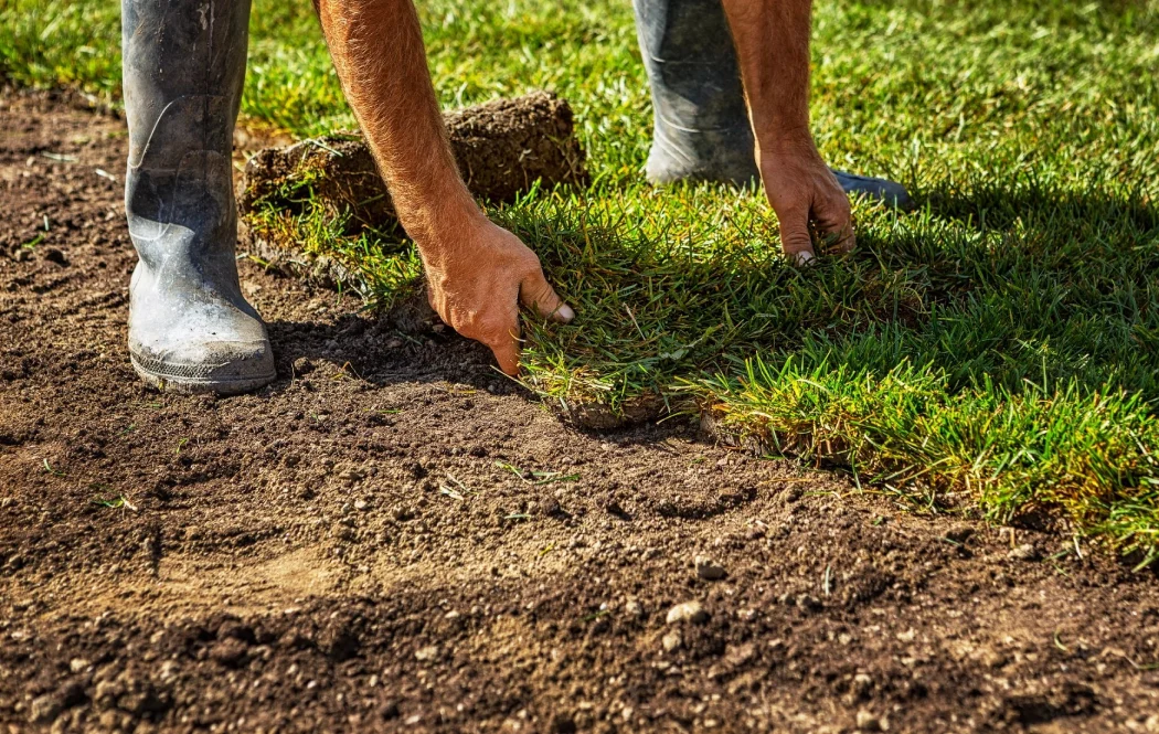 Soil testing for fall lawn care practices for Atlanta homes and businesses protects your property investment 